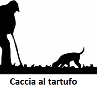 Caccia Tartufo 5