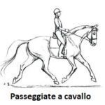 Passeggiate a cavallo