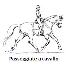 Maneggio e passeggiate a cavallo